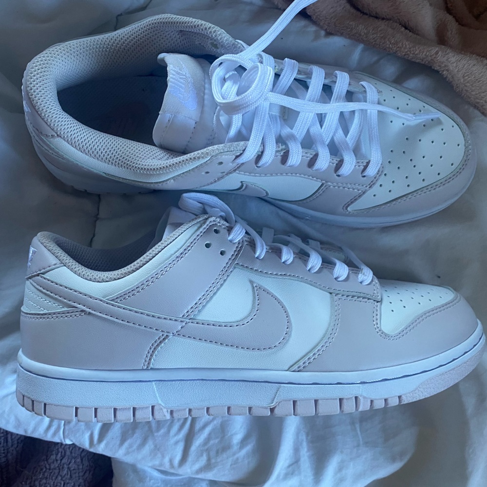 Venice Nike dunks!!
